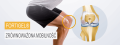 Baner Fortigel str główna z napisem light.png